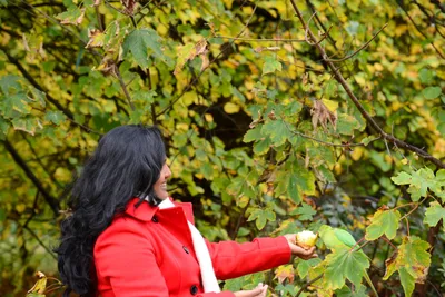 DSC_0513 (Large).JPG